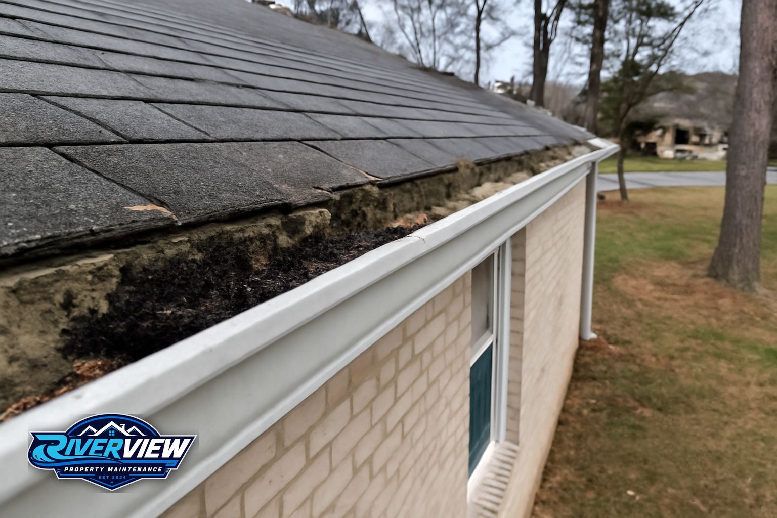 Exterior buildup relevant to gutter cleaning