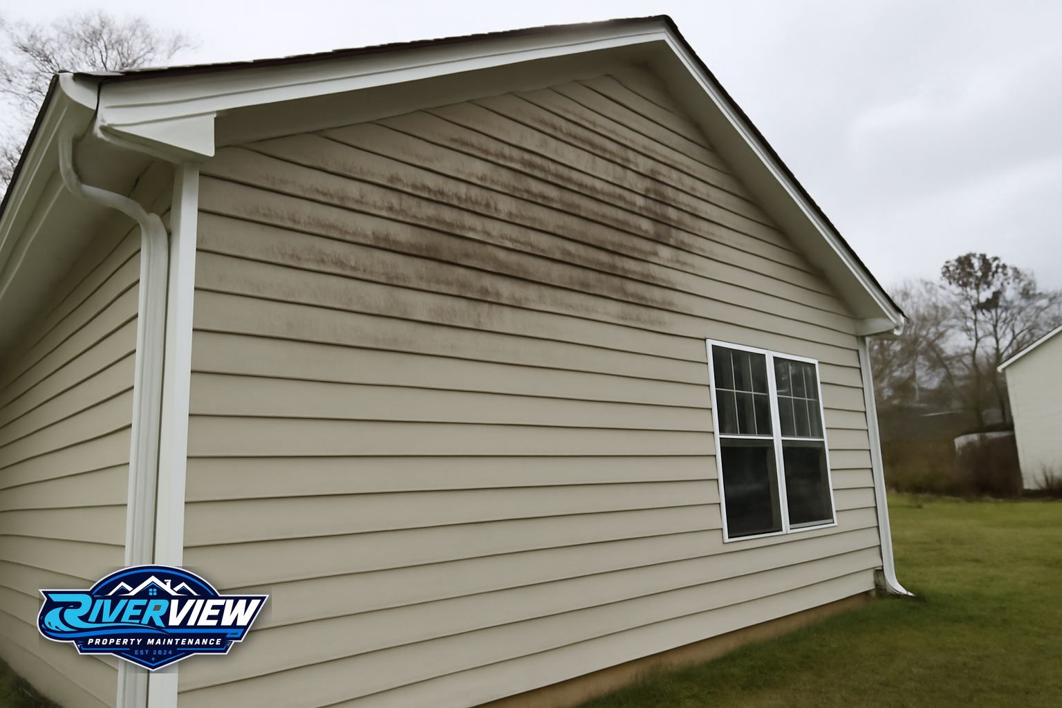 Exterior buildup relevant to house soft washing