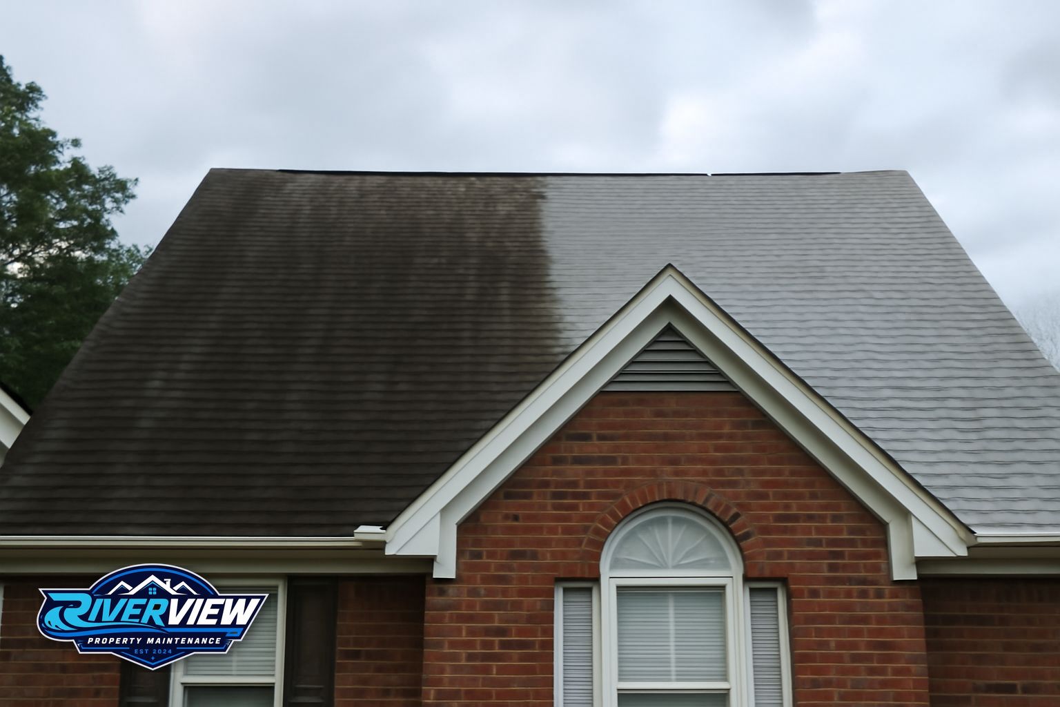Black algae streaks on asphalt shingles on a Buford, GA home before soft washing