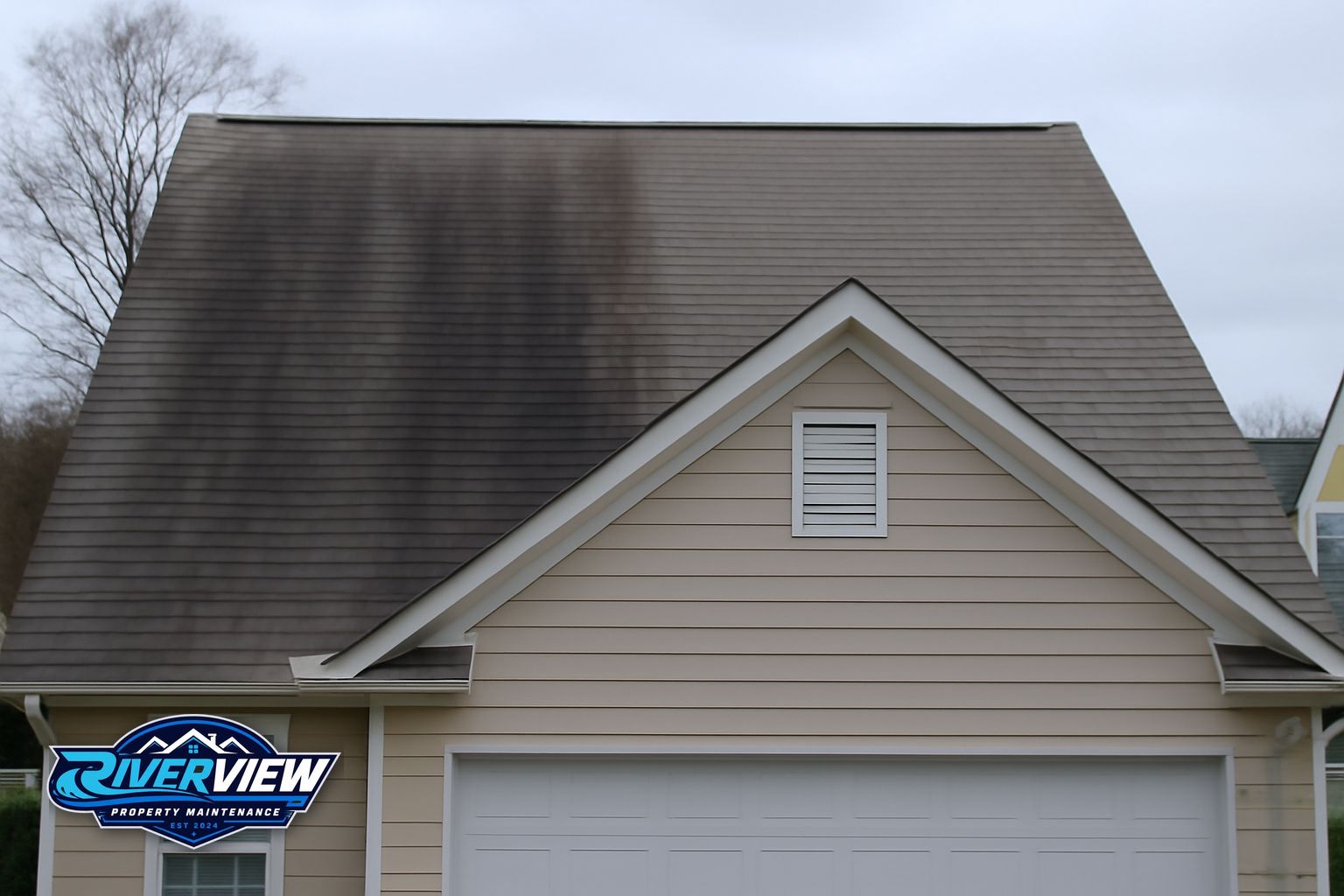 Black algae streaks on asphalt shingles on a Buford, GA home before soft washing