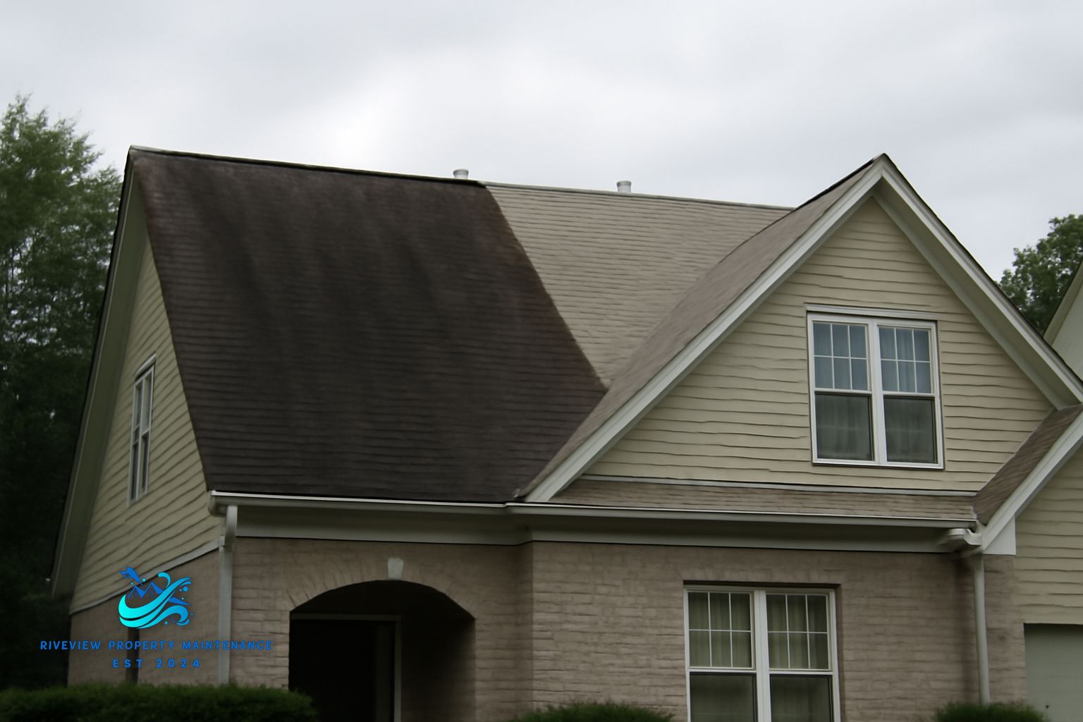Dark algae streaks on asphalt shingles on a Dacula, GA home before soft washing treatment