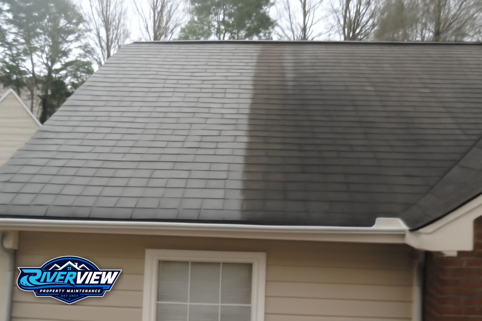 Moss growth on shaded roof in Lawrenceville Gwinnett County Georgia