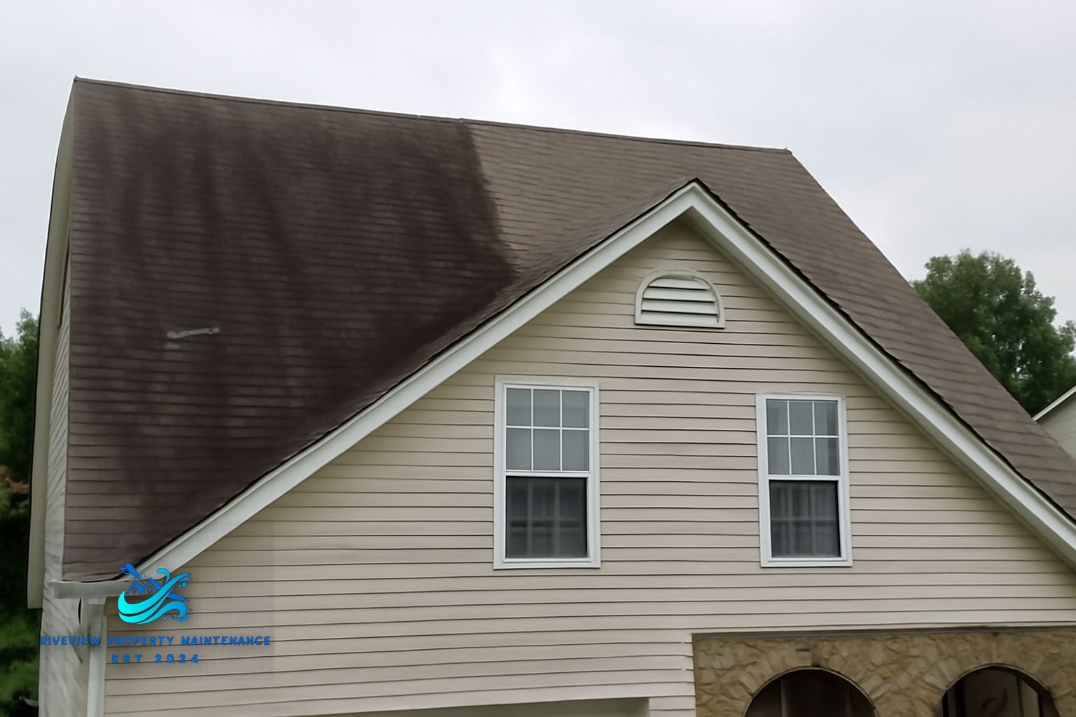 Algae-covered asphalt shingles before soft washing treatment in Lawrenceville, GA