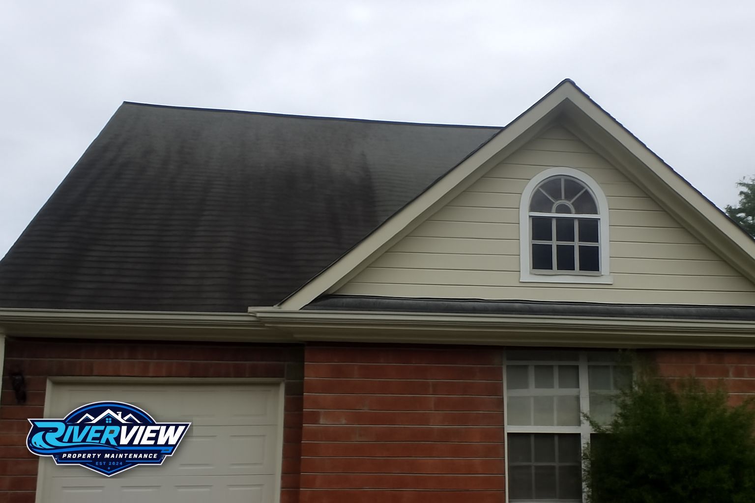 Dark algae streaks on asphalt shingles on a Lawrenceville GA home before roof soft washing