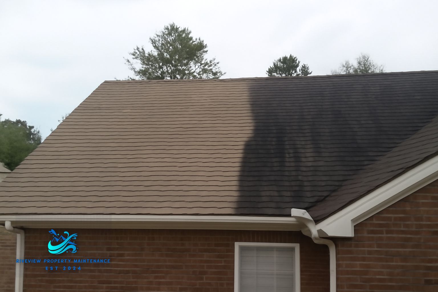 Technician applying low-pressure soft wash solution to a residential roof in Gwinnett County Georgia