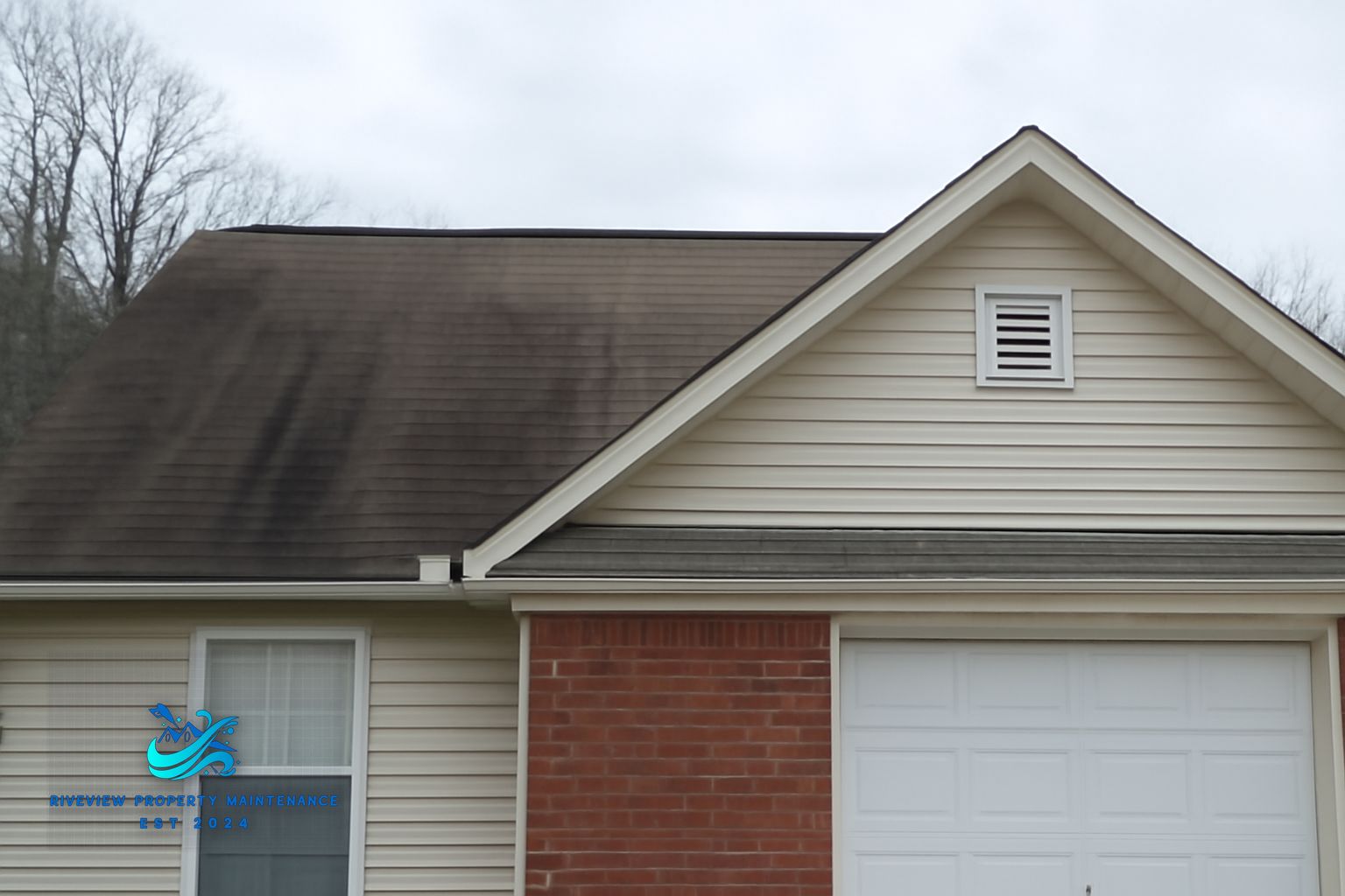 Black algae streaks running down asphalt shingles on a Winder Georgia home before soft washing