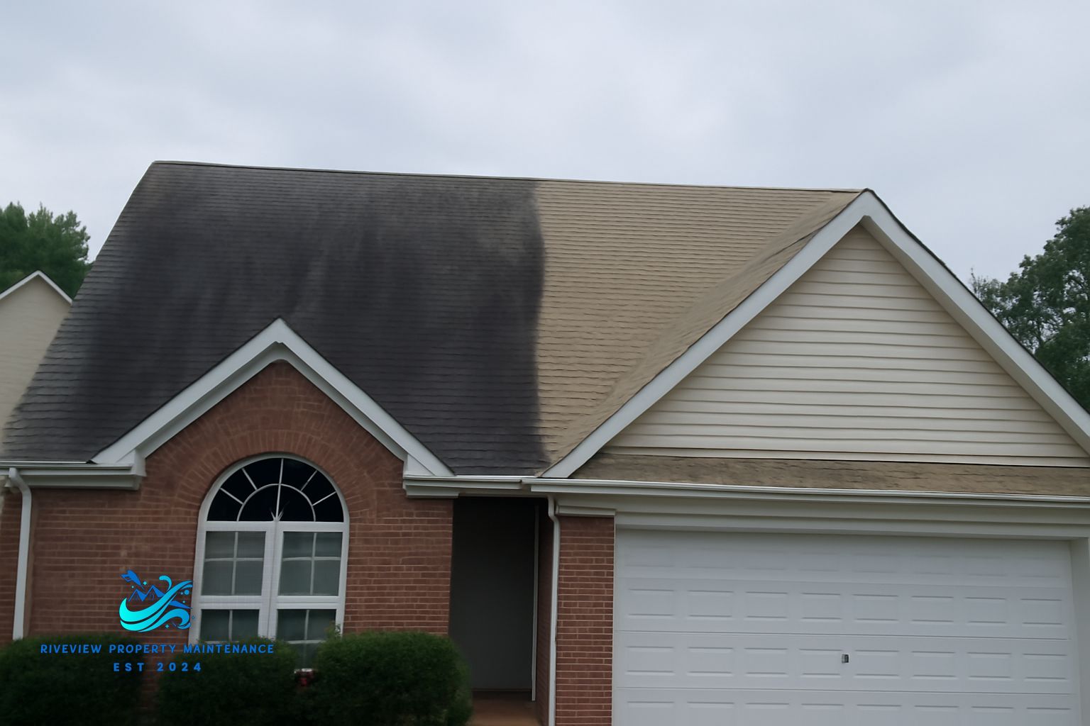 Dark algae streaks on asphalt shingle roof in Winder GA before soft washing treatment